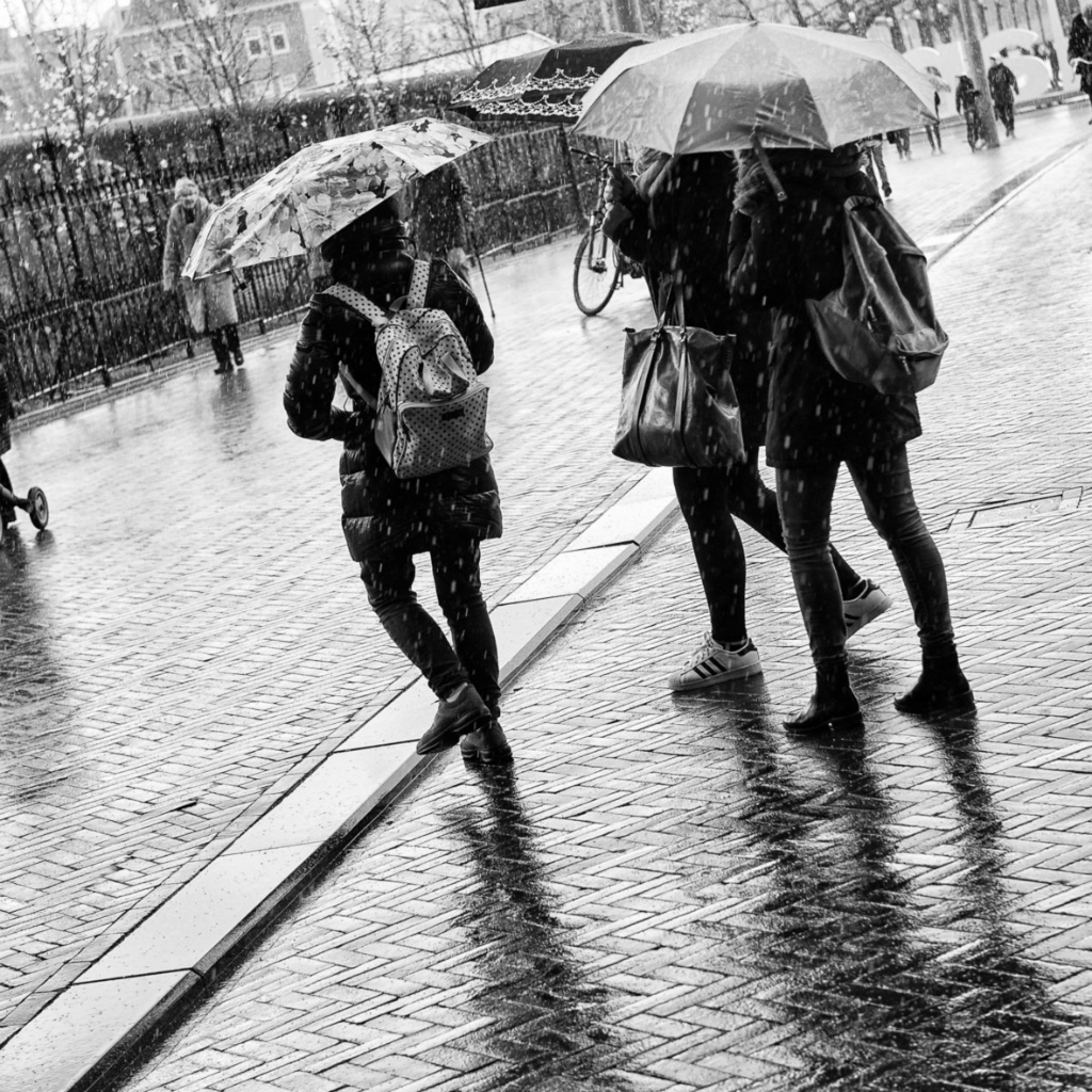 Rain 2 zw